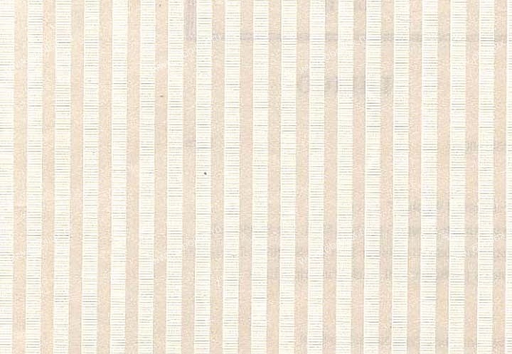 Обои Stroheim Color Gallery Platinum and Ivory 3650E0010
