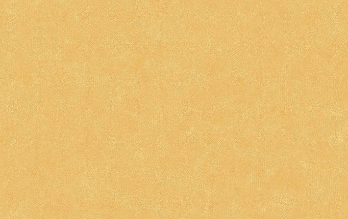 Французские обои Caselio, коллекция Ceramique, артикул CER105242570