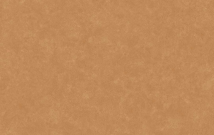 Французские обои Caselio, коллекция Ceramique, артикул CER105243148