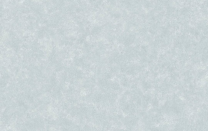 Французские обои Caselio, коллекция Ceramique, артикул CER105246001