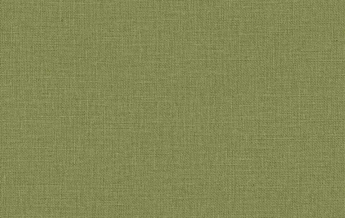 Французские обои Caselio, коллекция Green Life 2, артикул GNL2104017951