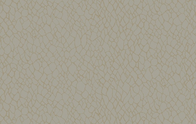 Английские обои Galerie, коллекция Boutique, артикул DWP0232-02