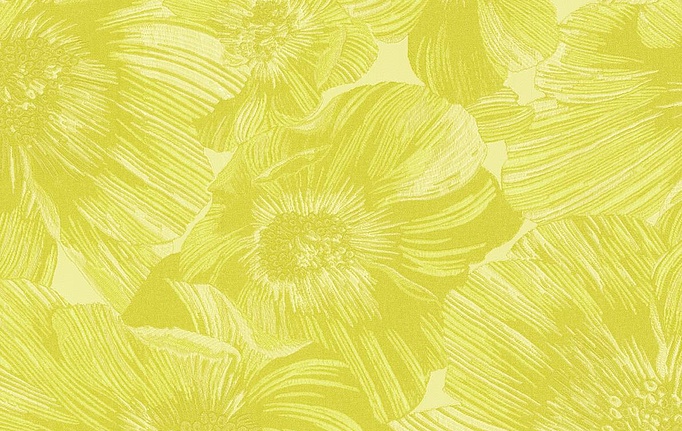 Итальянские обои Missoni Home, коллекция Wallcoverings 05, артикул 10500