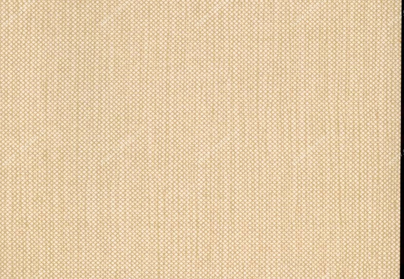 Обои Hookedonwalls Tropical Chic 36204