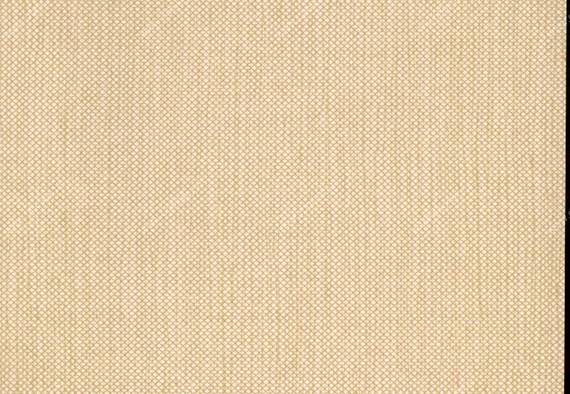 Обои Hookedonwalls Tropical Chic 36204