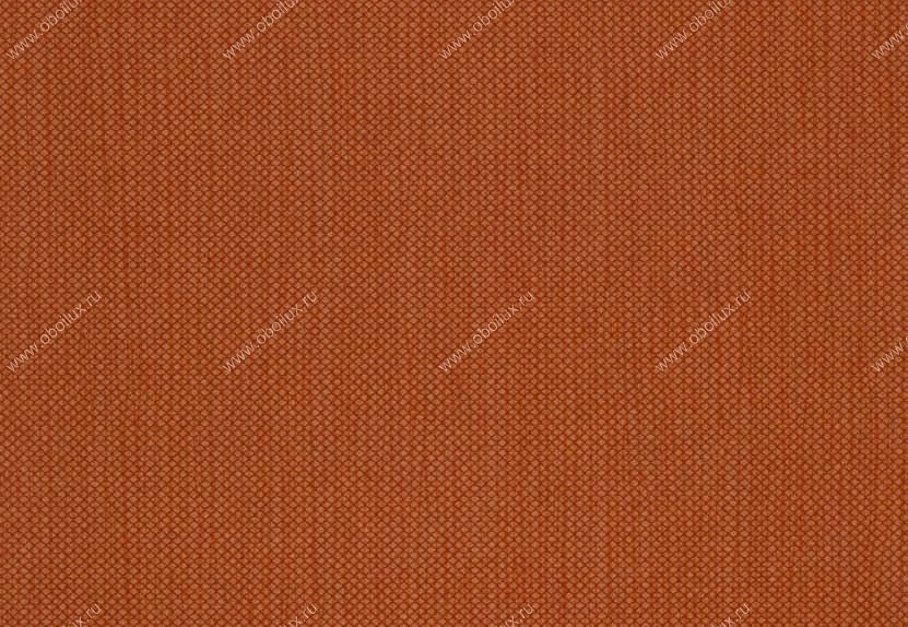 Обои Hookedonwalls Tropical Chic 36210