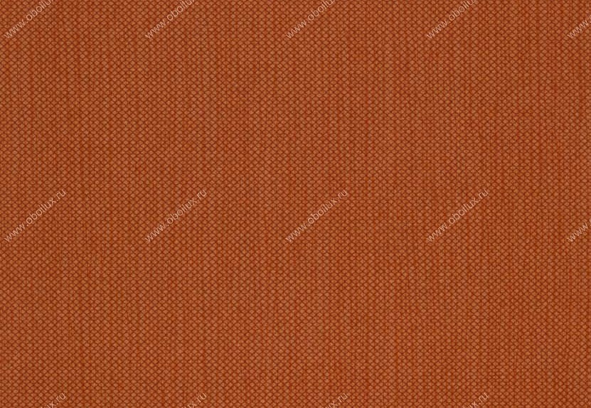 Обои Hookedonwalls Tropical Chic 36210