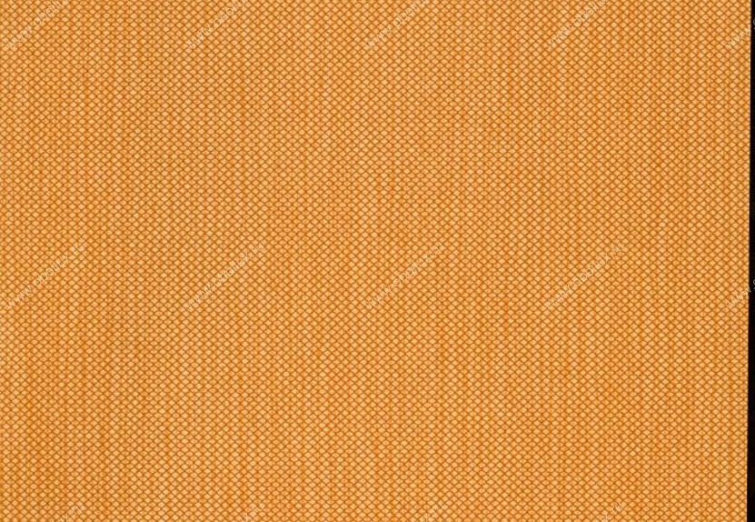 Обои Hookedonwalls Tropical Chic 36211