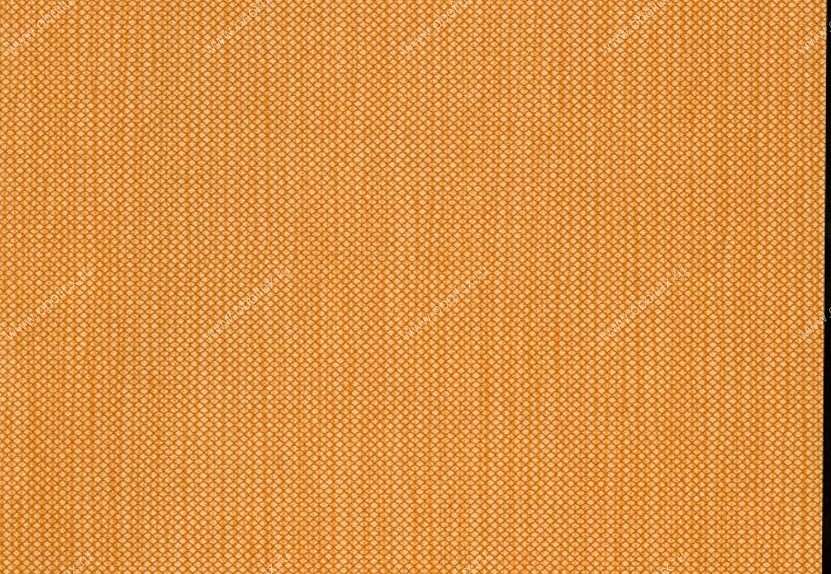 Обои Hookedonwalls Tropical Chic 36211