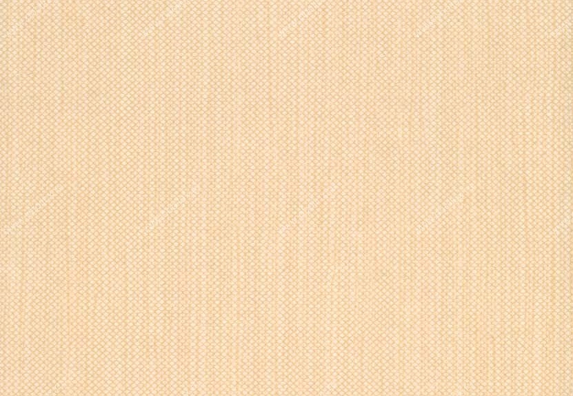 Обои Hookedonwalls Tropical Chic 36212