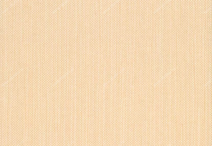 Обои Hookedonwalls Tropical Chic 36212