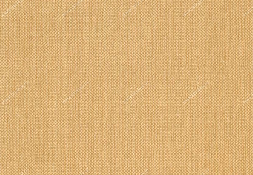 Обои Hookedonwalls Tropical Chic 36213