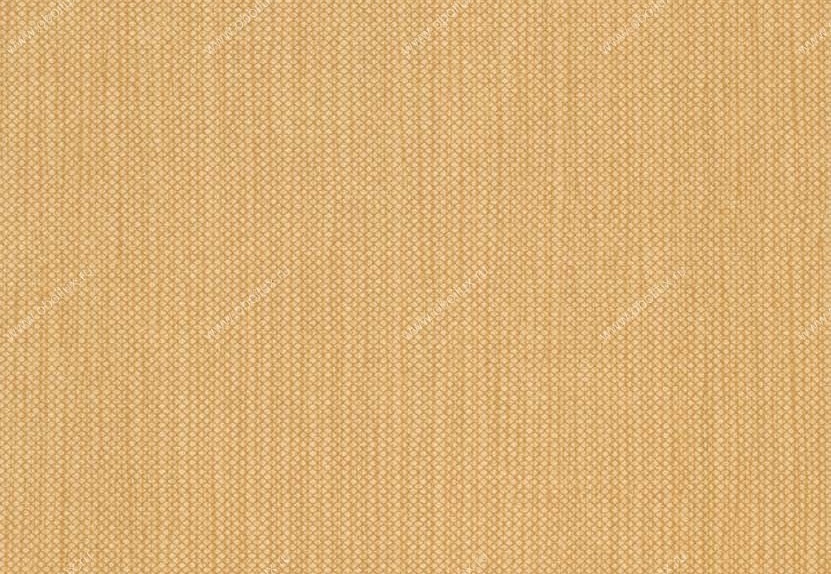 Обои Hookedonwalls Tropical Chic 36213