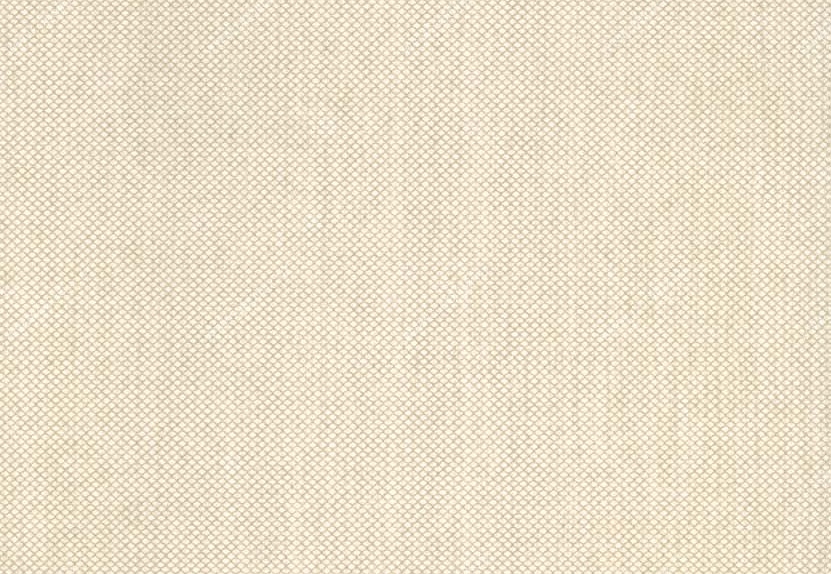 Обои Hookedonwalls Tropical Chic 36215