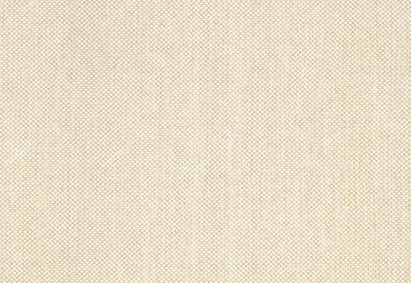Обои Hookedonwalls Tropical Chic 36215