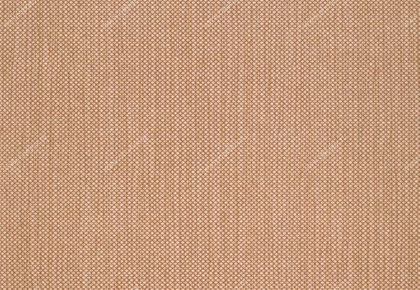 Обои Hookedonwalls Tropical Chic 36216