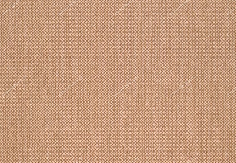 Обои Hookedonwalls Tropical Chic 36216