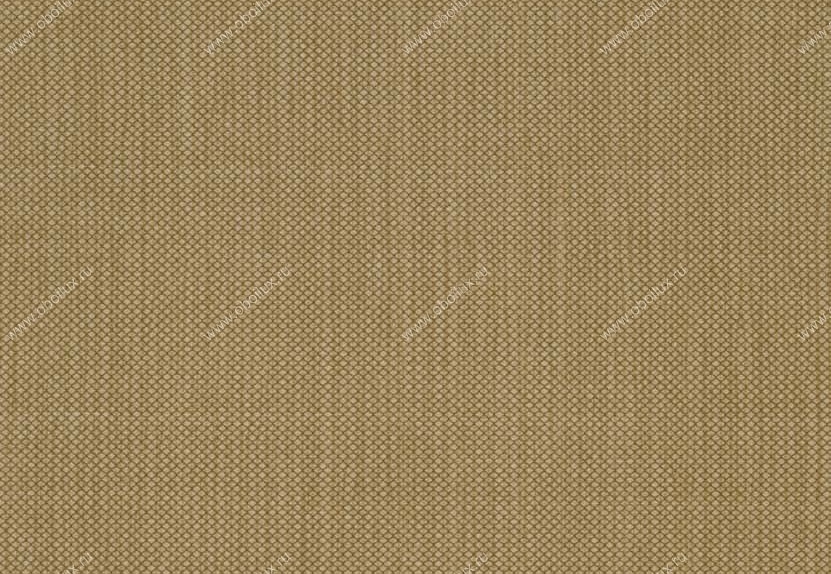 Обои Hookedonwalls Tropical Chic 36217