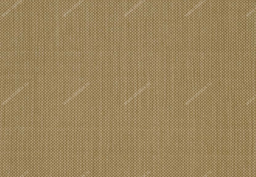 Обои Hookedonwalls Tropical Chic 36217