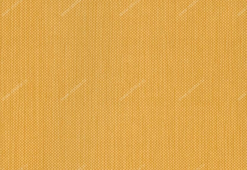 Обои Hookedonwalls Tropical Chic 36220