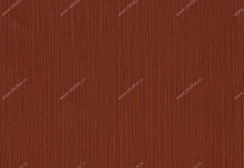 Обои Hookedonwalls Tropical Chic 36221