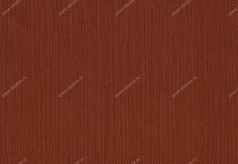 Обои Hookedonwalls Tropical Chic 36221