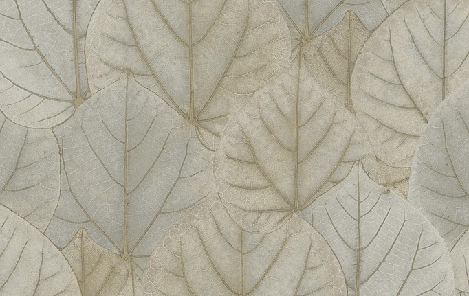 Американские обои York, коллекция Modern Nature II (Candice Olson), артикул OS4243