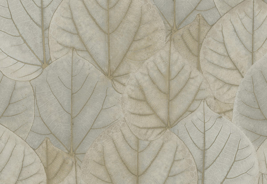 Обои York Modern Nature II (Candice Olson) OS4243