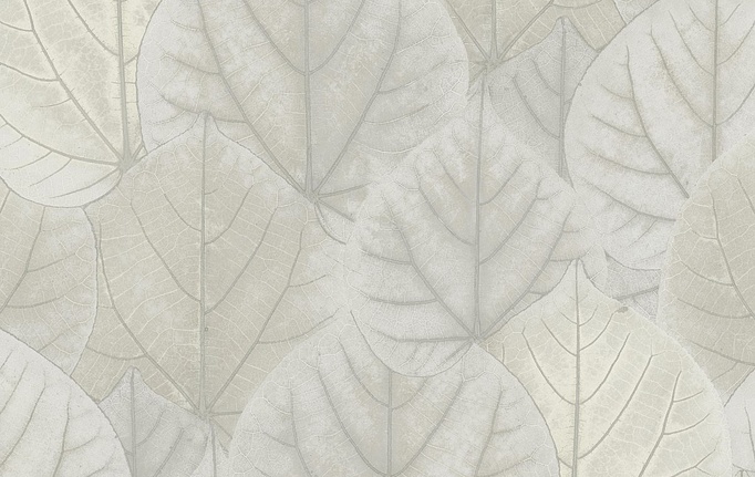 Американские обои York, коллекция Modern Nature II (Candice Olson), артикул OS4246