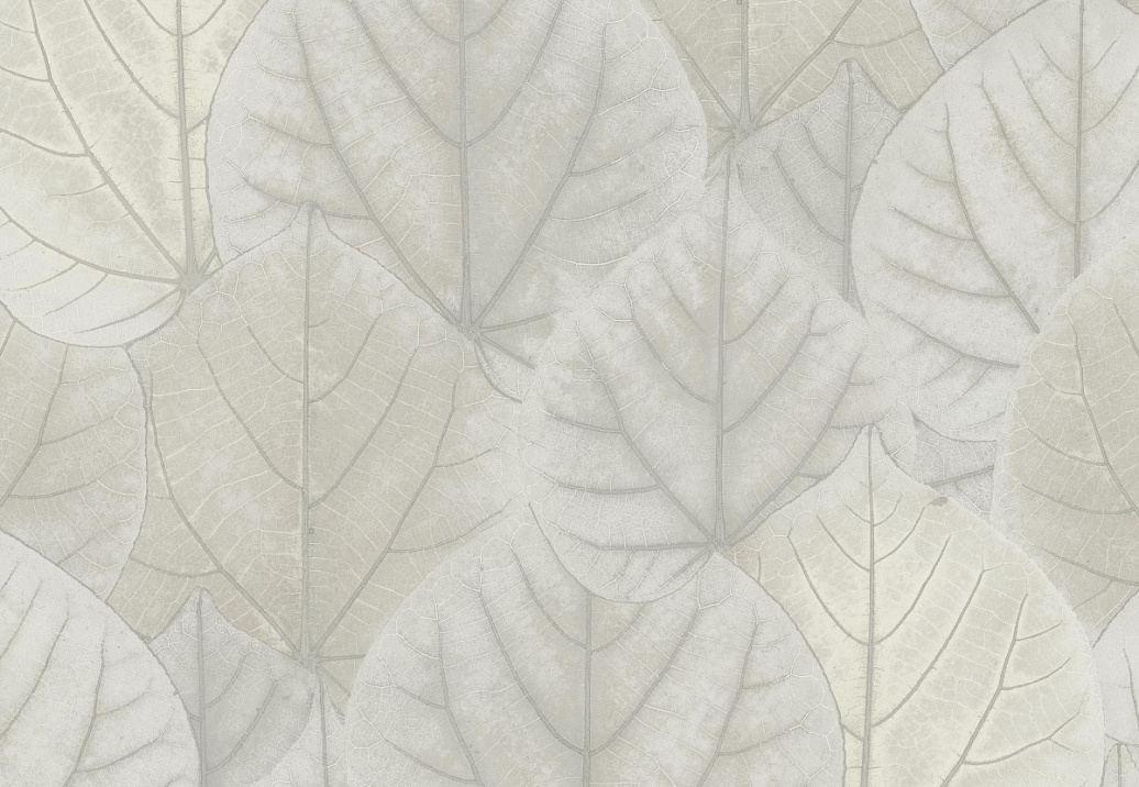 Обои York Modern Nature II (Candice Olson) OS4246