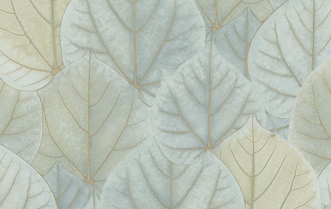 Американские обои York, коллекция Modern Nature II (Candice Olson), артикул OS4241