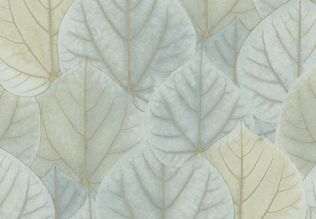 Обои York Modern Nature II (Candice Olson) OS4241