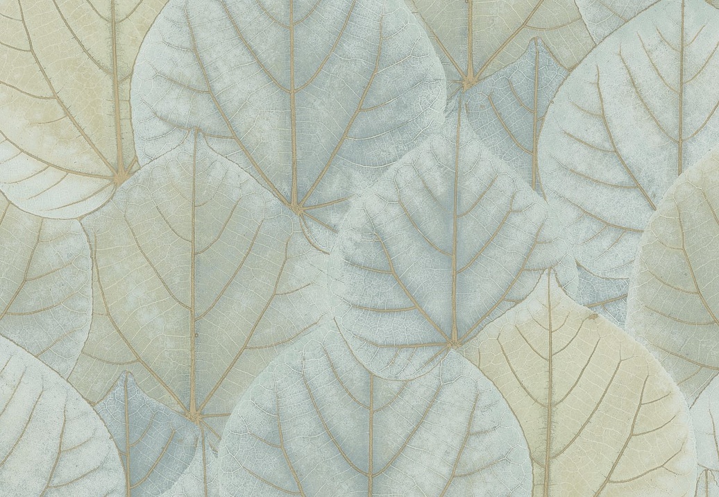 Обои York Modern Nature II (Candice Olson) OS4241