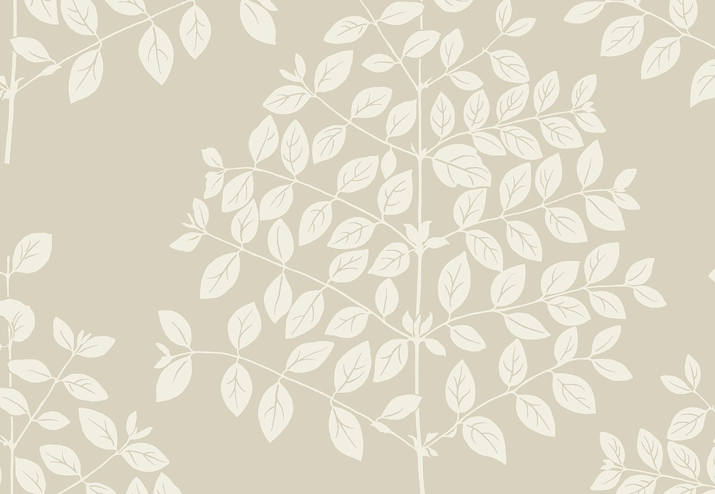 Обои York Modern Nature II (Candice Olson) OS4253