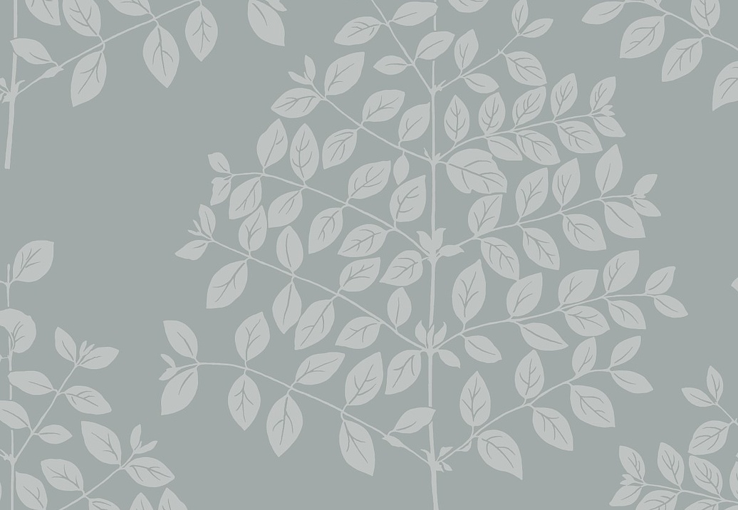 Обои York Modern Nature II (Candice Olson) OS4254