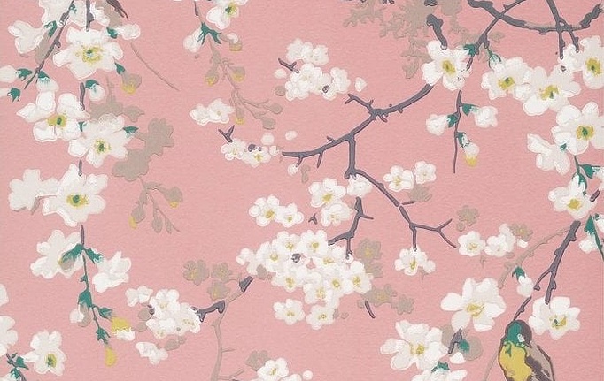 Английские обои Little Greene, коллекция National Trust Papers II, артикул 0260MAORIEN
