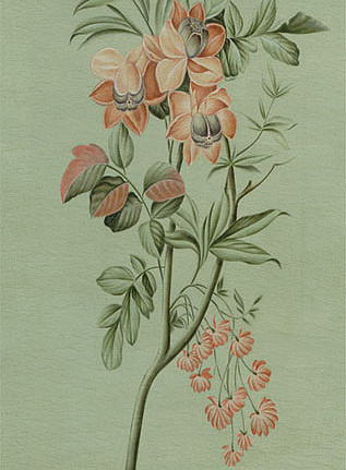 Панно и фотообои Iksel Scenic & Architectural Wallpapers Floral Screen BSC3