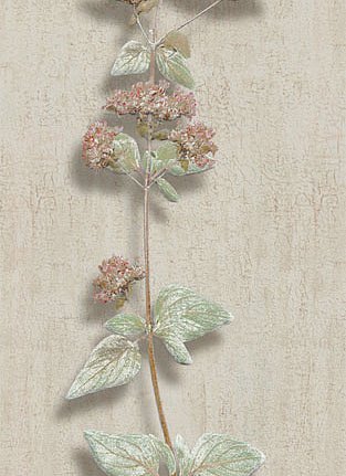 Панно и фотообои Iksel Scenic & Architectural Wallpapers Herbier Herb1