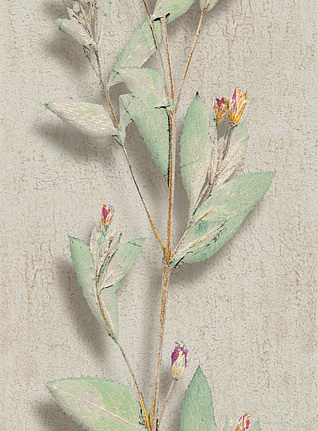 Панно и фотообои Iksel Scenic & Architectural Wallpapers Herbier Herb2
