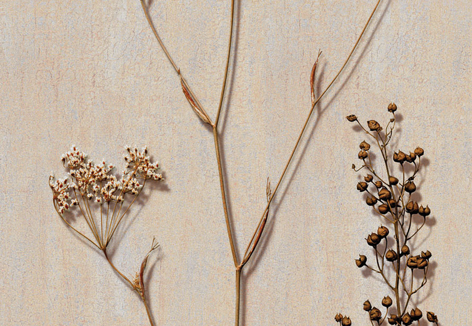 Панно и фотообои Iksel Scenic & Architectural Wallpapers Herbier Herb4
