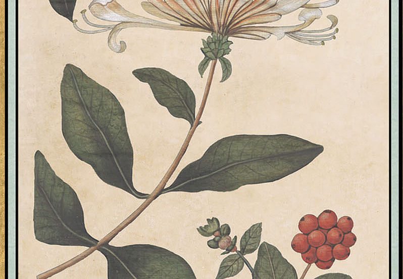 Панно и фотообои Iksel Scenic & Architectural Wallpapers Renaissance Herbier RH1