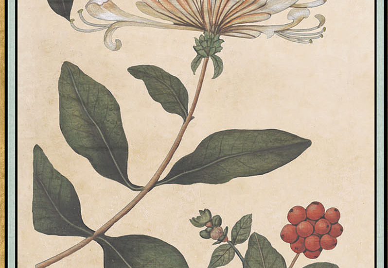 Панно и фотообои Iksel Scenic & Architectural Wallpapers Renaissance Herbier RH1