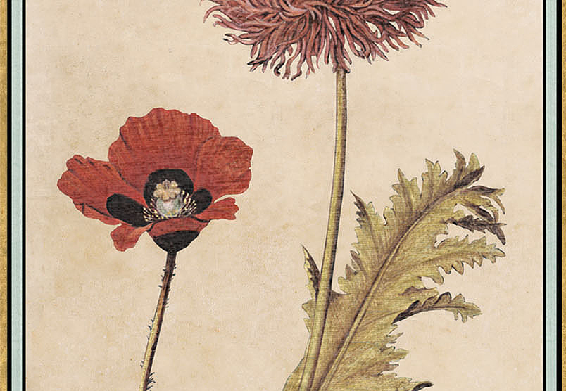 Панно и фотообои Iksel Scenic & Architectural Wallpapers Renaissance Herbier RH3