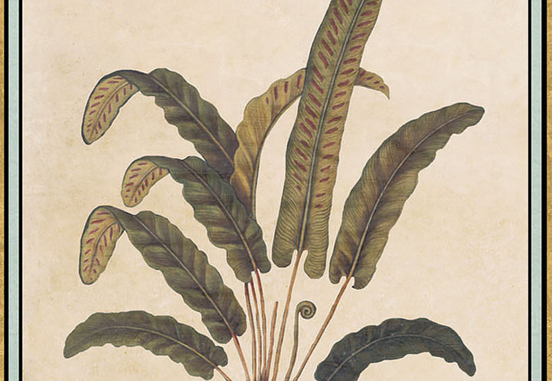 Панно и фотообои Iksel Scenic & Architectural Wallpapers Renaissance Herbier RH4