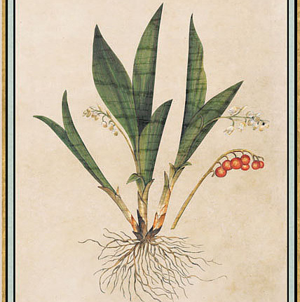Панно и фотообои Iksel Scenic & Architectural Wallpapers Renaissance Herbier RH8