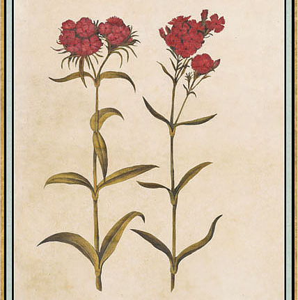 Панно и фотообои Iksel Scenic & Architectural Wallpapers Renaissance Herbier RH9