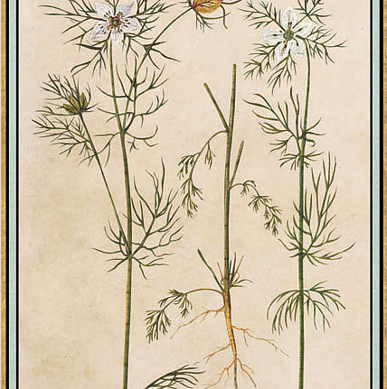 Панно и фотообои Iksel Scenic & Architectural Wallpapers Renaissance Herbier RH10