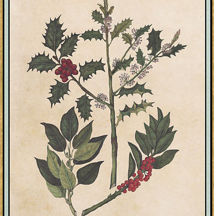 Панно и фотообои Iksel Scenic & Architectural Wallpapers Renaissance Herbier RH15