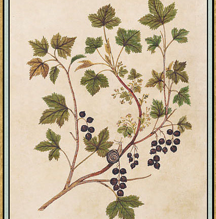 Панно и фотообои Iksel Scenic & Architectural Wallpapers Renaissance Herbier RH19