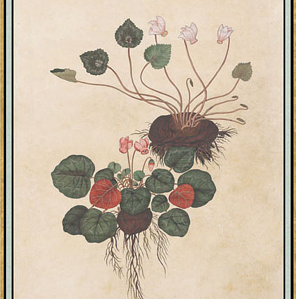 Панно и фотообои Iksel Scenic & Architectural Wallpapers Renaissance Herbier RH22